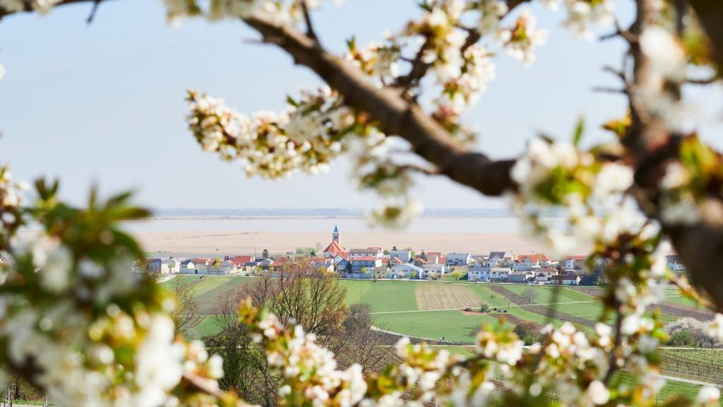 Villa Seehnsucht Jois Eksteriør bilde